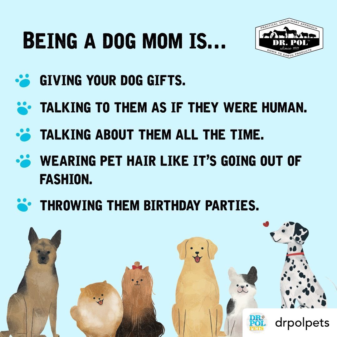 do-dogs-like-humans-talking-to-them