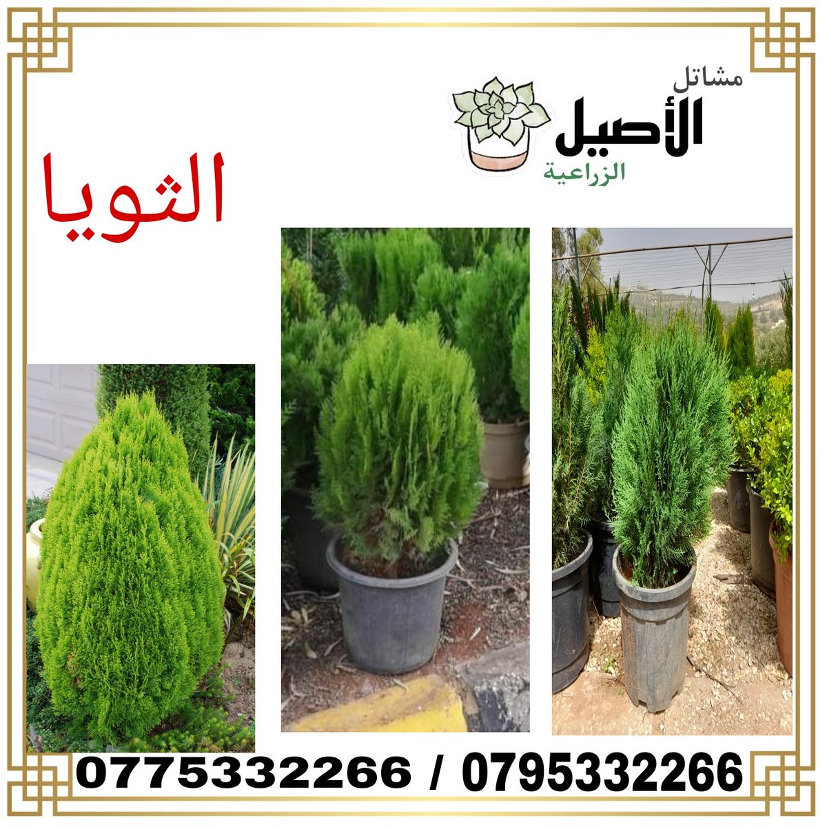 jordan_jerash's tweet photo. https://t.co/3nGKMrhYT6