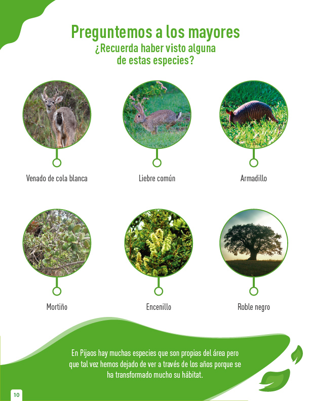 AcademicospCol's tweet photo. El reconocimiento de especies animales y vegetales es una actividad que permite construir vínculos afectivos con el territorio y monitorear los cambios que sufren los ecosistemas. Aquí te mostramos algunas especies que habitan en la vereda de Pijaos. 
#reconocimientodelterritorio https://t.co/1eAKuRMyO0