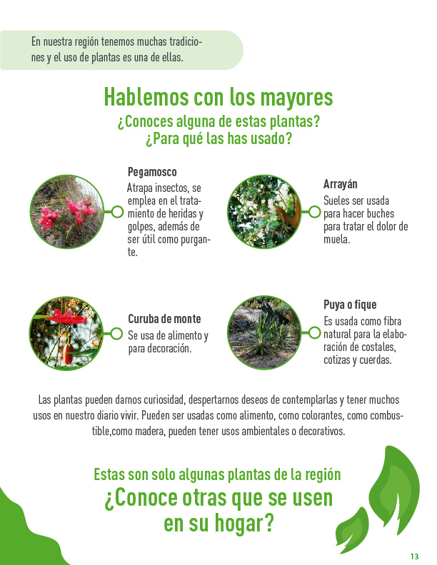 AcademicospCol's tweet photo. El reconocimiento de especies animales y vegetales es una actividad que permite construir vínculos afectivos con el territorio y monitorear los cambios que sufren los ecosistemas. Aquí te mostramos algunas especies que habitan en la vereda de Pijaos. 
#reconocimientodelterritorio https://t.co/1eAKuRMyO0