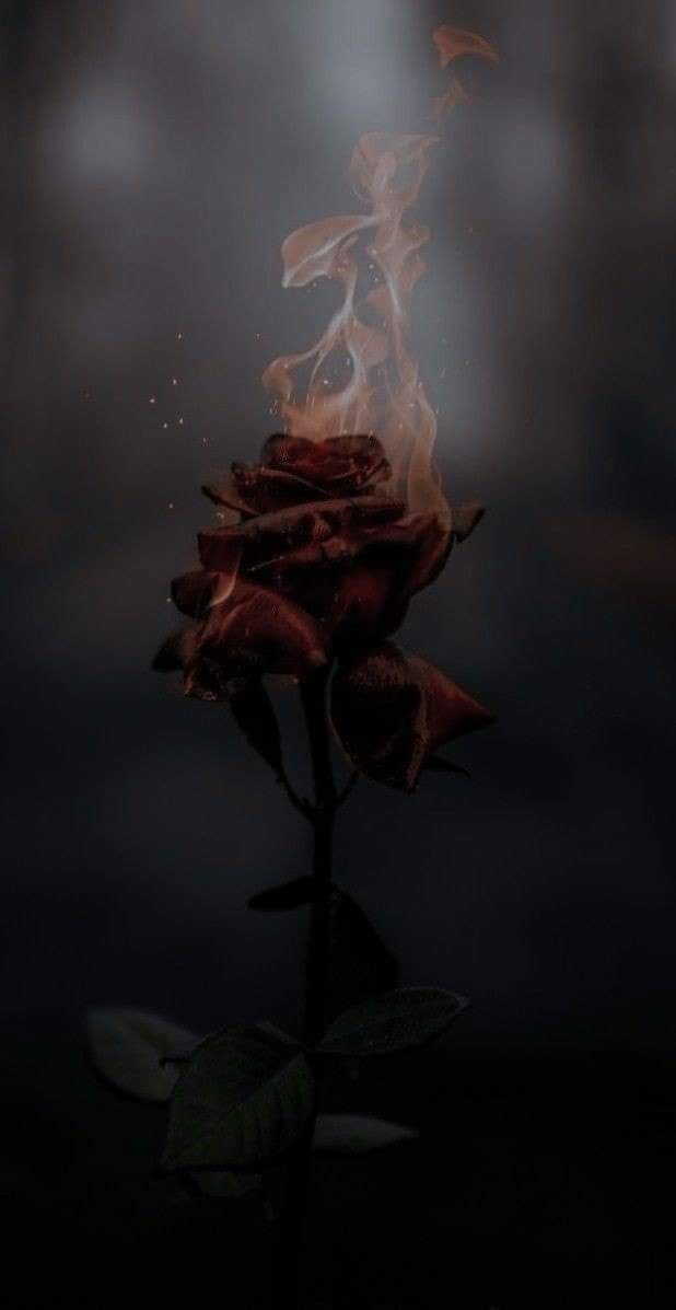 يرى الإِنسان نفسهُ عجوزًا حينما ينظر
لأشخاصٍ من نفس عمرهِ يتراكضون في
ربيع الحياة يملأهم الشغف، وهو منطفئ،
منطفئ جدًا.