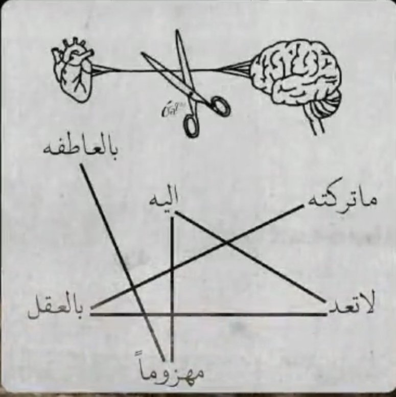 رتـب الجمـلـه🖤…!