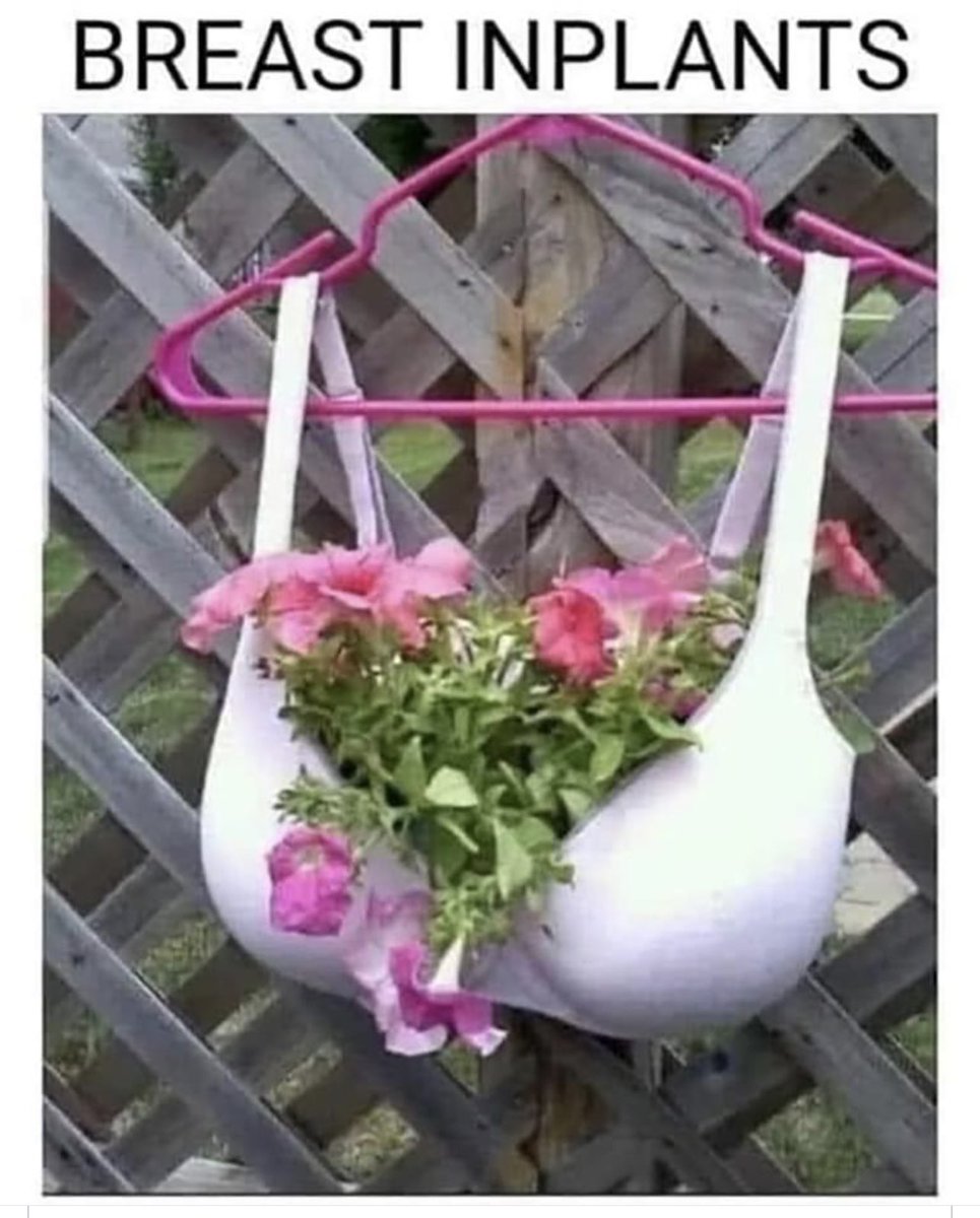 BlockerNot's tweet photo. Boobs make my garden grow. And by garden I mean https://t.co/HhTsuC3oRC