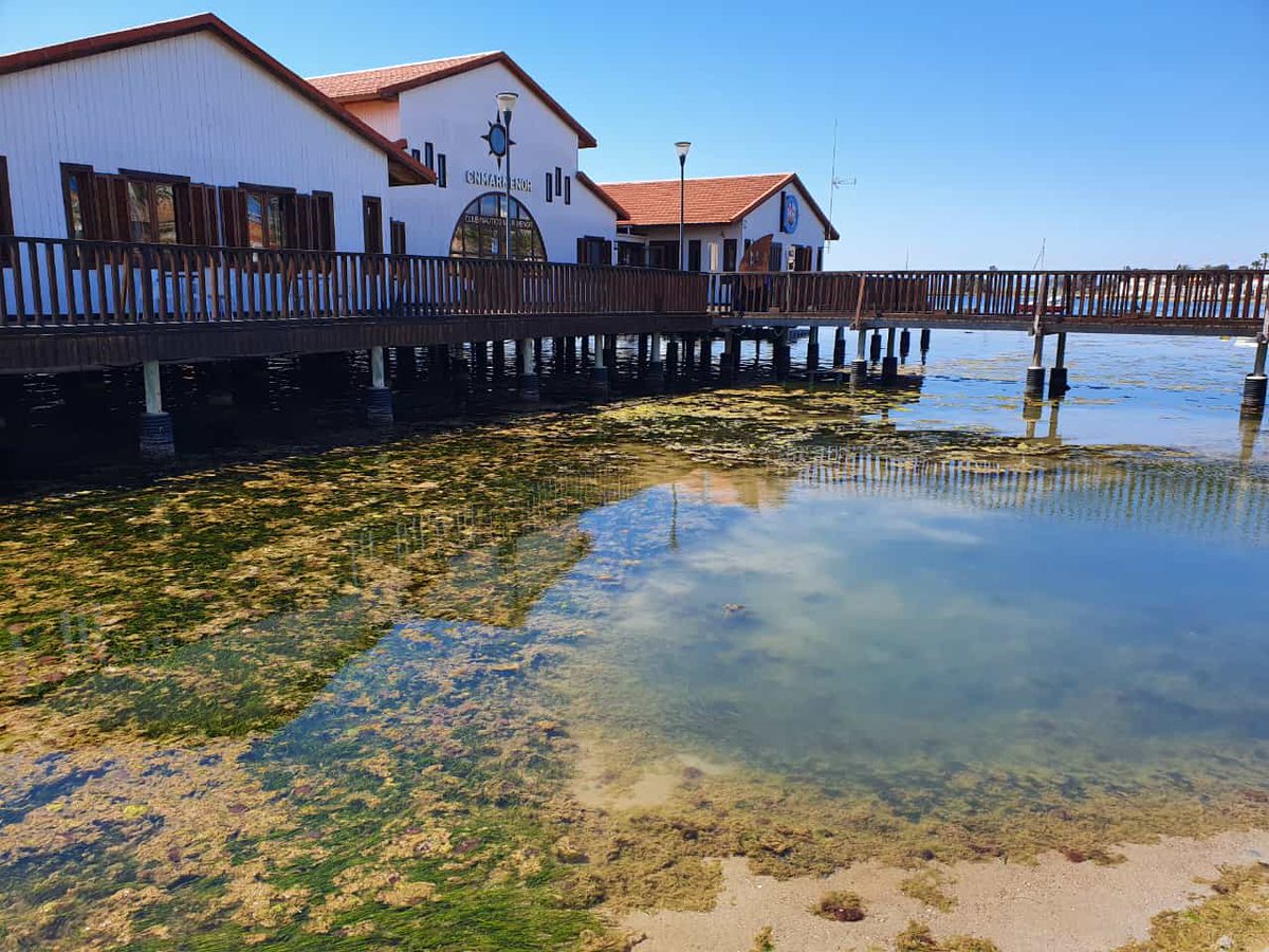 Amaro_marmenor's tweet photo. El sector terciario emplea+ 70% de la población el agrícola 10%.  España es la 3ra potencia mundial en #Turismo. Murcia tiene un atractivo único en el mundo  #MarMenor. ¿Por qué se empeña @LopezMirasF en mantener la #agriculturaintensiva extranjera? https://t.co/RmP9vzbQIB