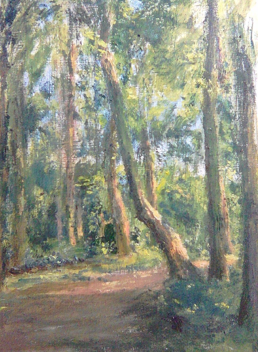 WillSculthorpe's tweet photo. #lastsunlight of the day #sandalbeatwoods #doncaster #justintime #after #watchingfacupfinal ##painting #oiloncanvas https://t.co/DSY6gg7oPP