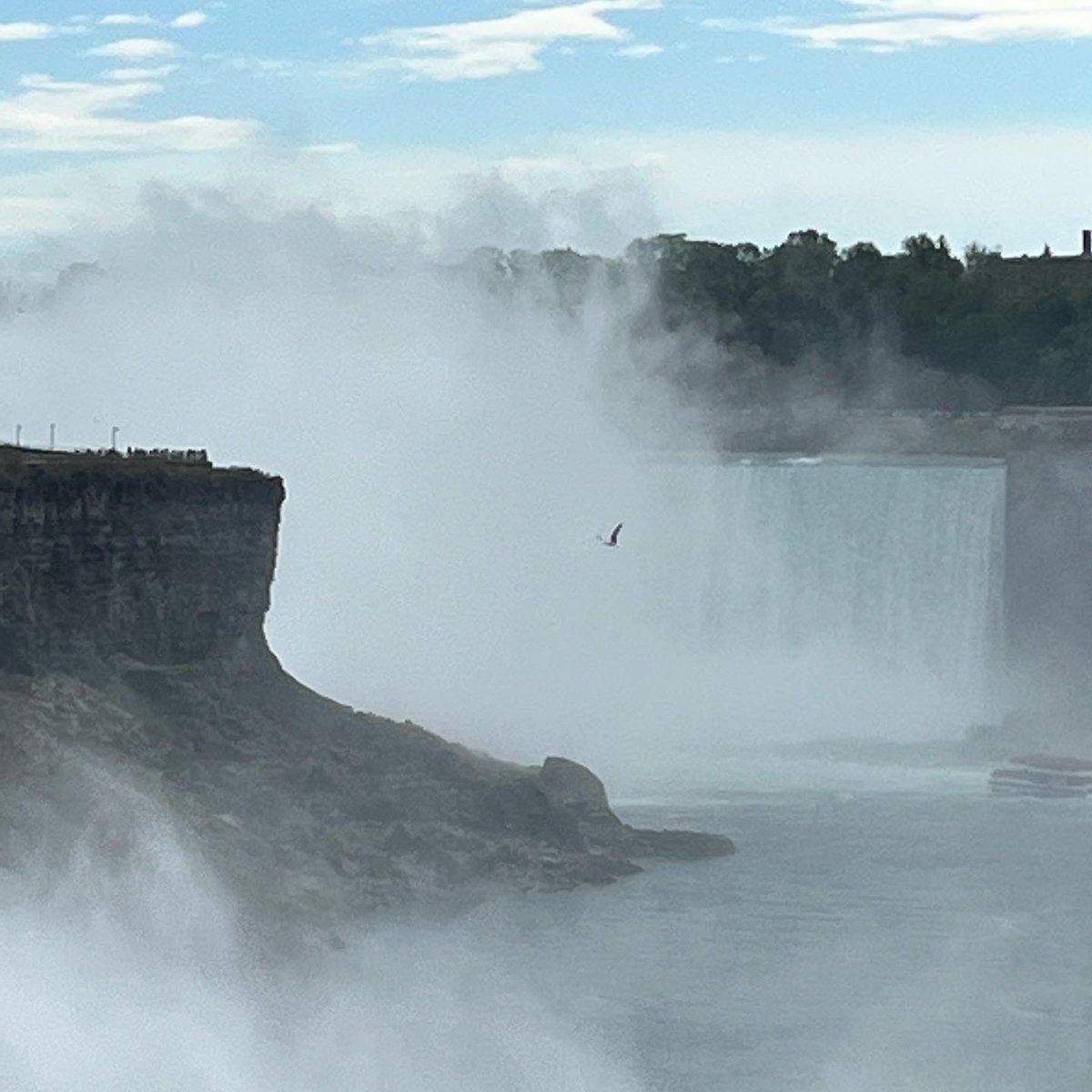 yo they turned my album into a real place