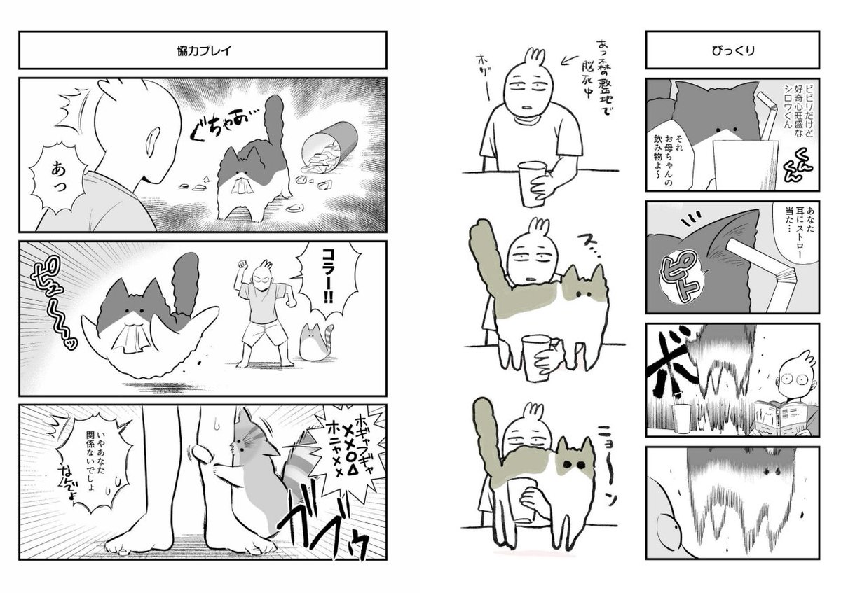 【お知らせ】Twitterにアップしていた猫漫画を(一部)kindleインディーズで本にしました!無料で読めますので、是非DLしてお楽しみください👏読み終えたら★5評価頂けると嬉しいです～!
「秀さんの今日の猫日記 Kindle版」
https://t.co/arXfSAvdHl 