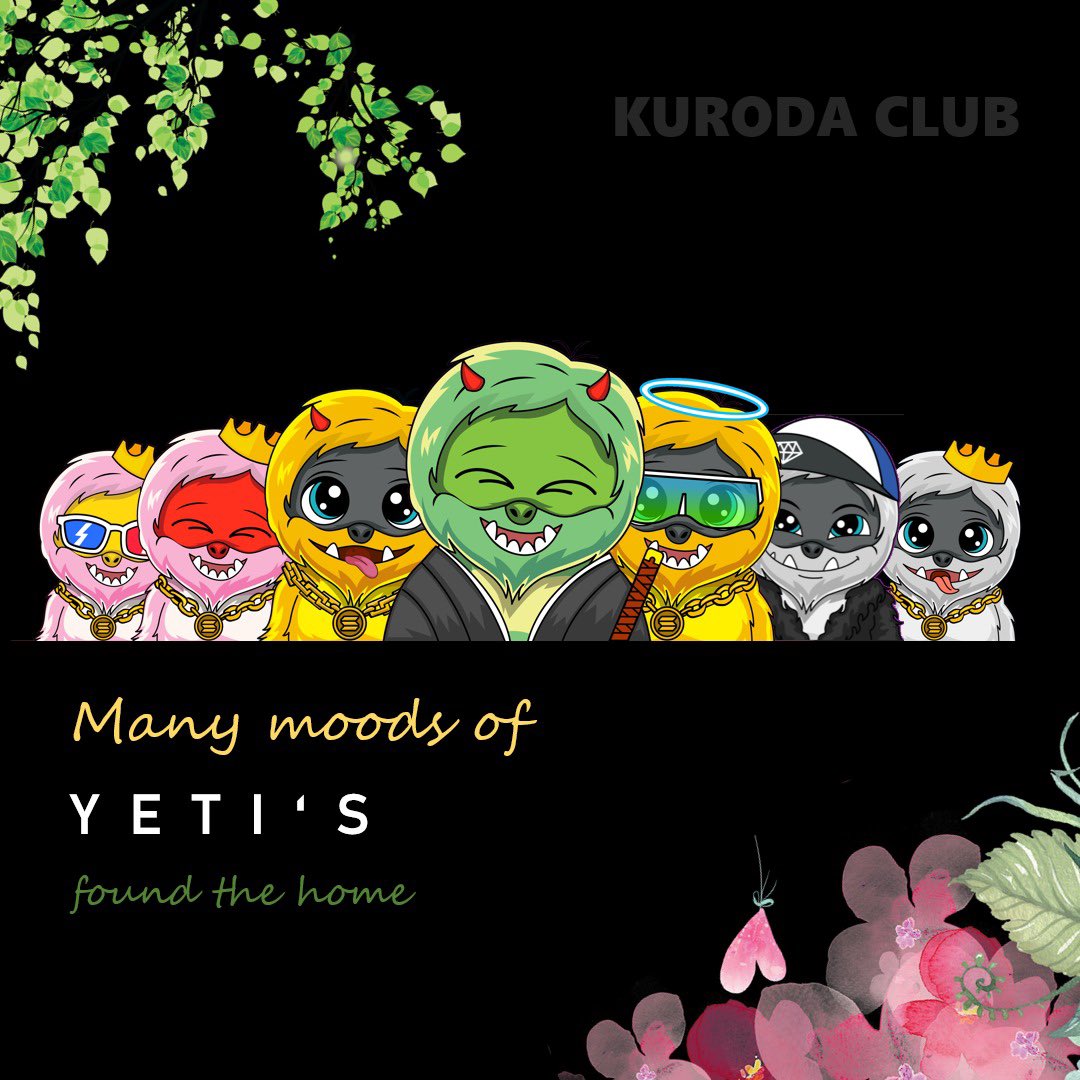 CallingMe18's tweet photo. @kryptovalutadk @frankdegods @KurodaClub So true
Yattaaaaaa to many moods of Yeti’s https://t.co/seEOH28f9u