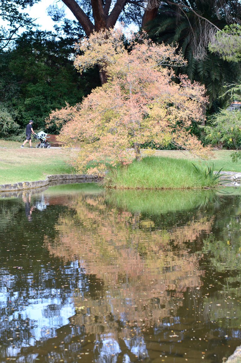 Jennie Raymond, Pick'sPicsPhotography tweet media