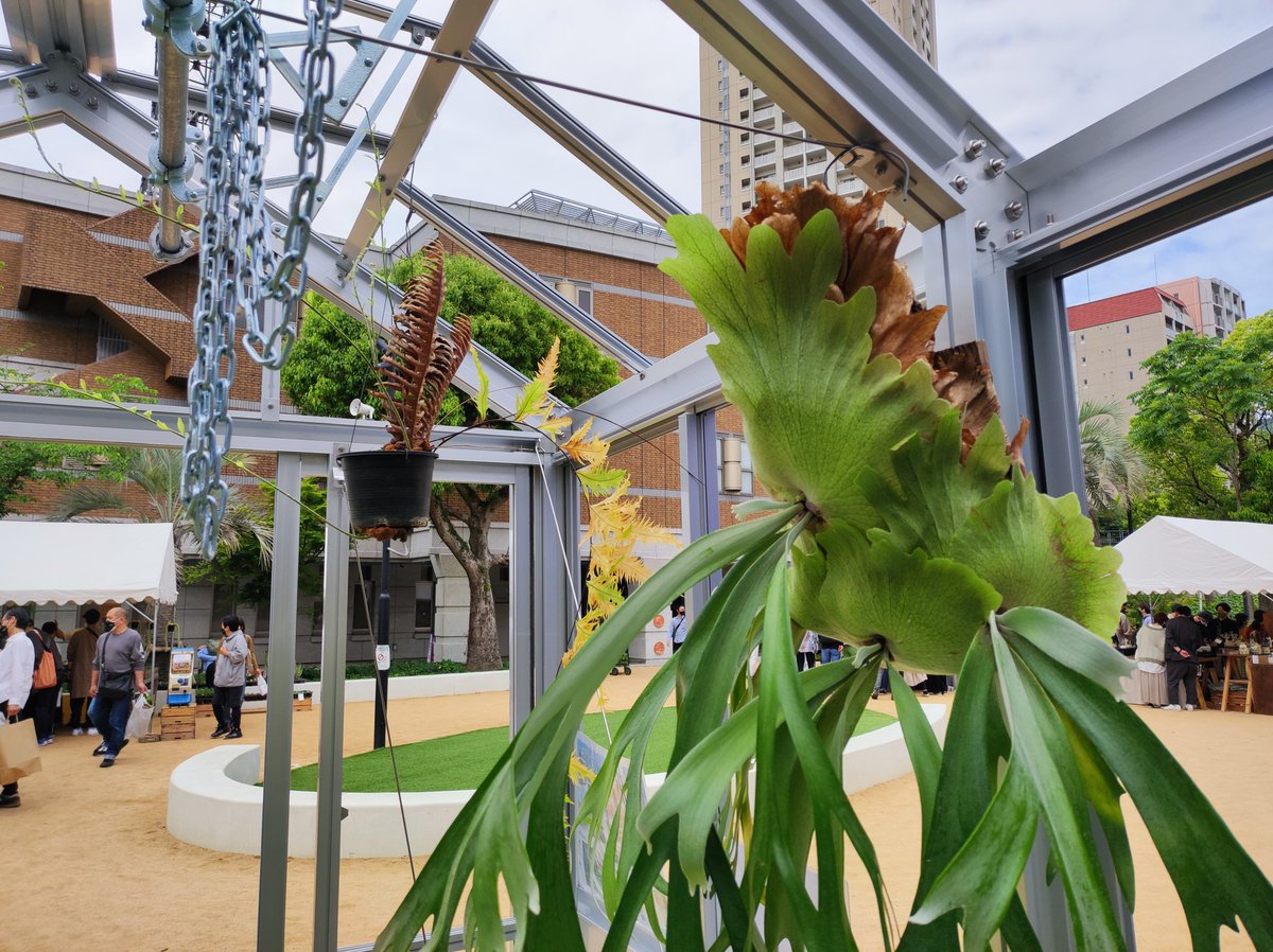 取引完了】アルミ温室