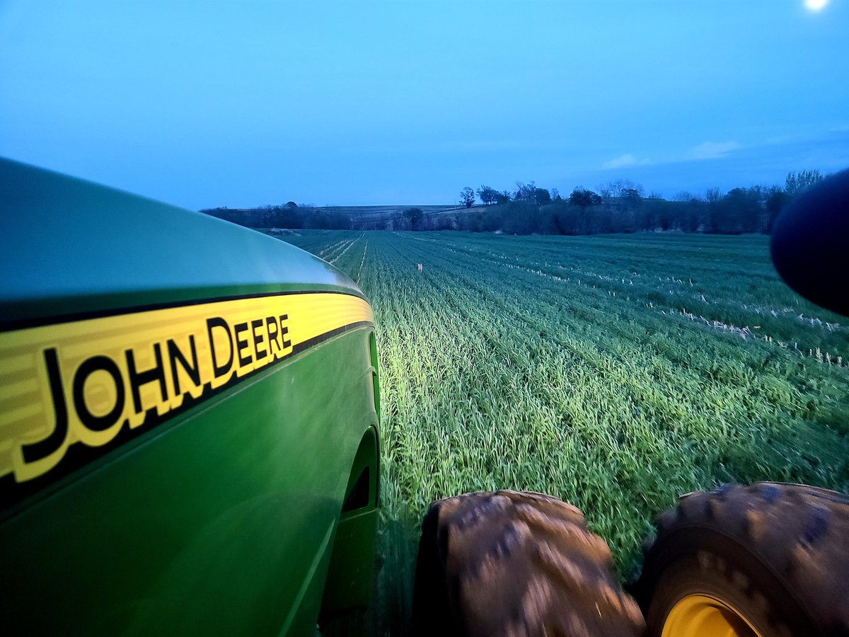Strip planting organic soybeans with roll crimped rye, carbon sequestration, and big beautiful yields to follow