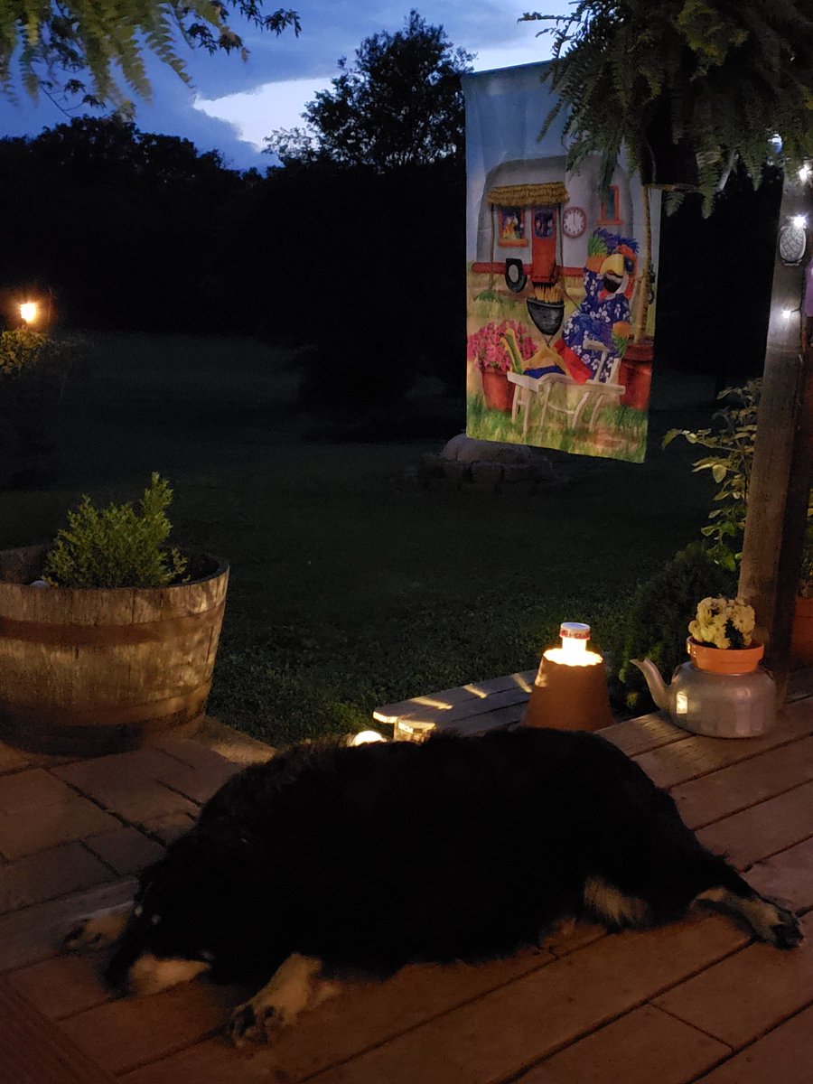 BeeSue64687496's tweet photo. It's a hard knock life Gypsy Doodle lives.😆🤣 
#GypsyDoodle
#Protecter
#CountryLife
#NoStress 
#Chillin 
#Missouri 
#SweetDreams https://t.co/RK3Tv9ncL7