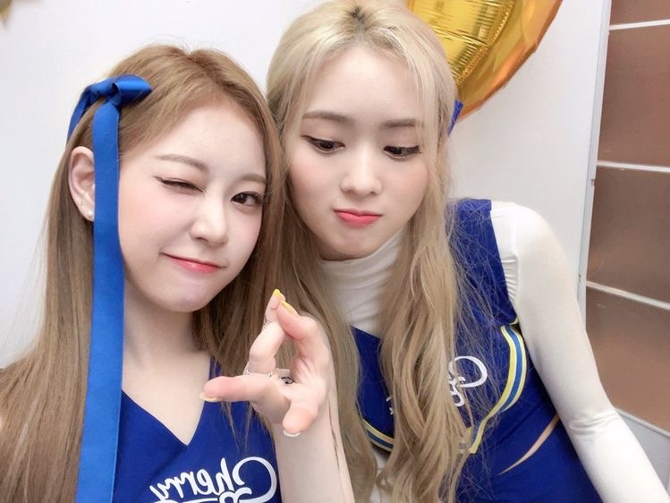 hourchebul's tweet photo. ↳🌷#보라 #bora #메이 #may <3 
#체리블렛 #cherrybullet 
@cherrybullet https://t.co/FFXOHNjWfX