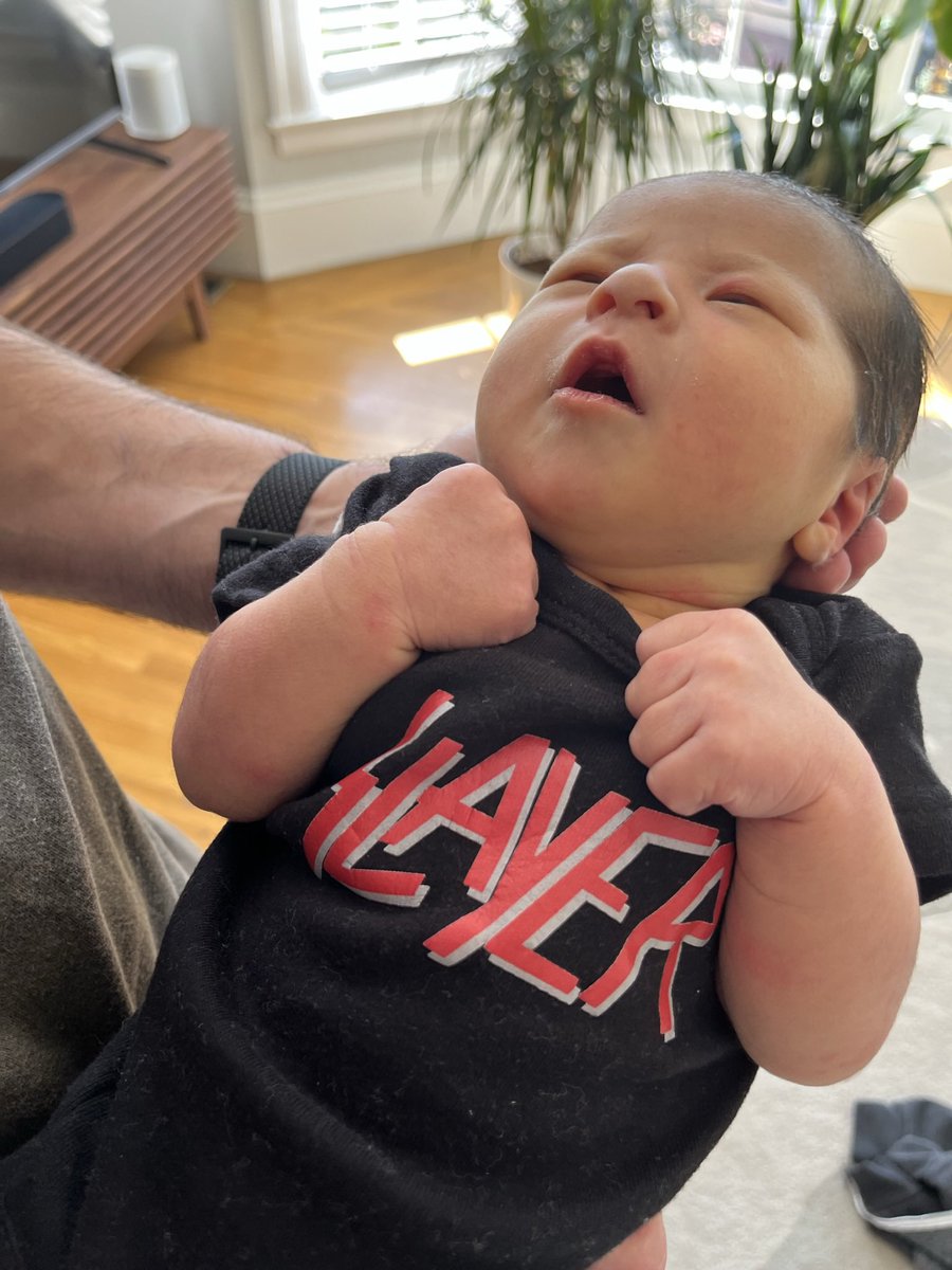 Chris Andrews tweet media