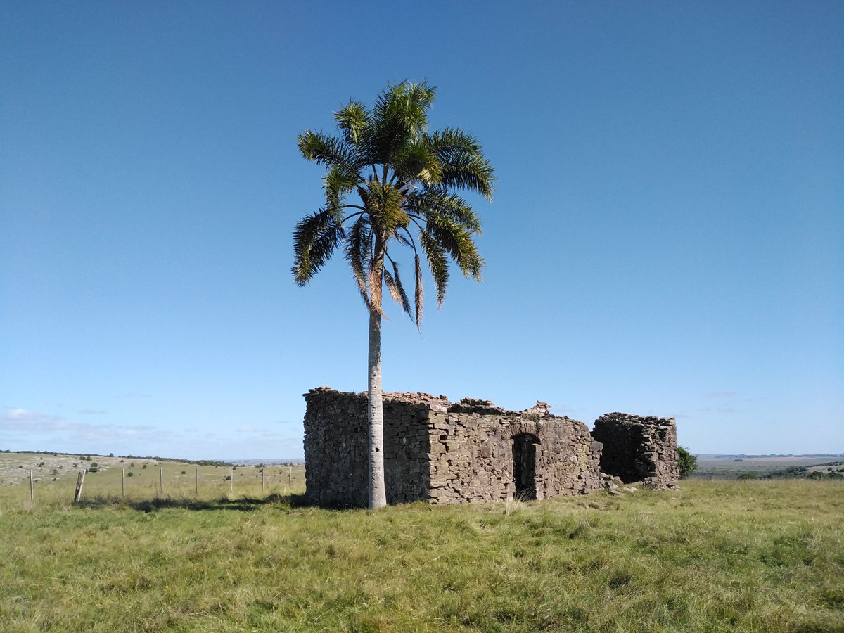 Diego Cáceres tweet media