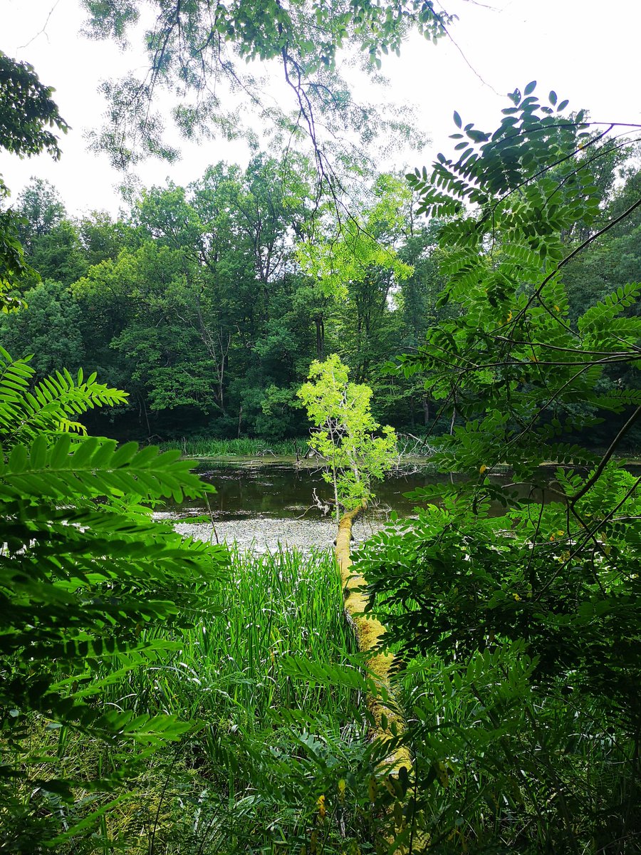 KAZ 🇭🇷 ⰽⰰⰸ tweet media