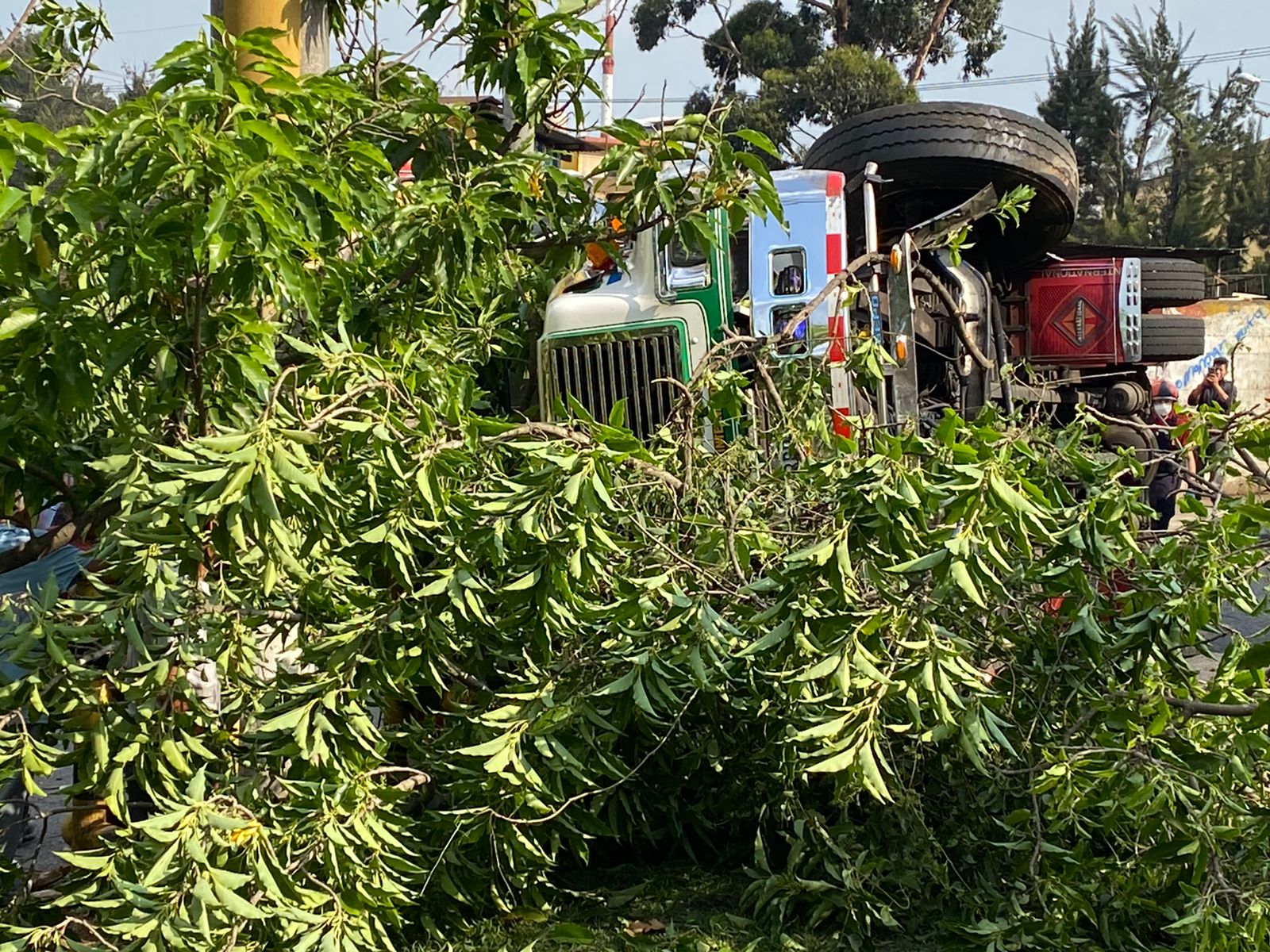 Ayudante queda bajo un bus tras accidente; testigos intentan rescatarlo