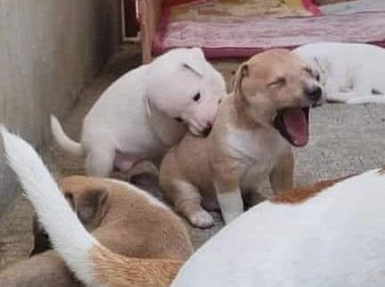 Jijiji mordidas de amor!!