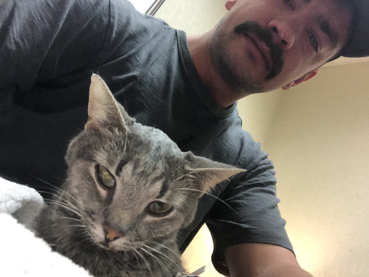 tchav24's tweet photo. “Don’t cry because it’s over, smile because it happened” Jack you were such a blessing, and your unconditional love and happiness taught me so much. Fly high baby jack. Kept purring till the very end. Me and @lincwham will always love and miss you. https://t.co/NjzkdrBpz0