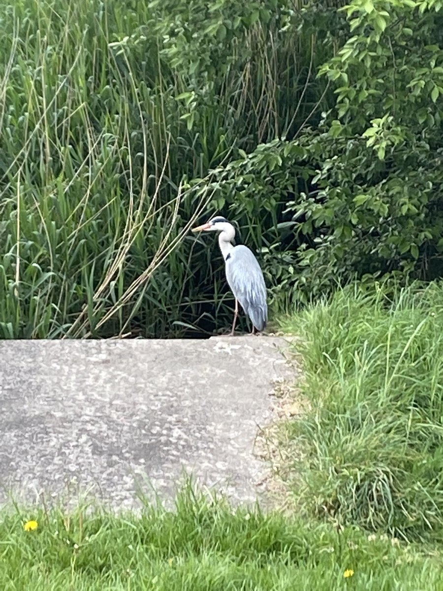 YoupJune's tweet photo. Perfect start to morning having just finished PGCert #dentistswithherons #universityofkent https://t.co/HLQ6GhpIcR