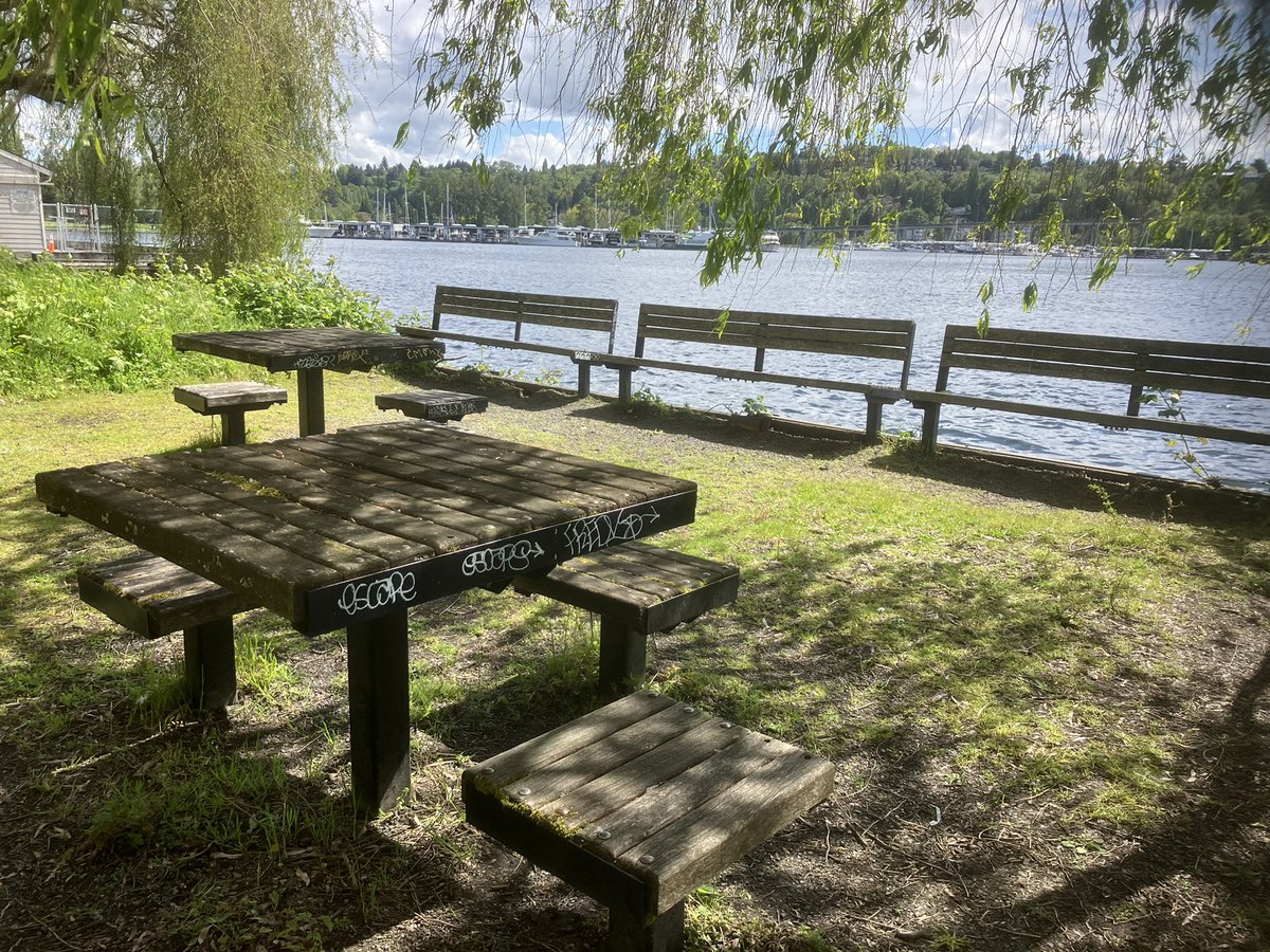 publicwritesea's tweet photo. Spot #57: two tables under a willow near UW south campus. Right on Portage Bay, looking out over the water to the neighborhood of the same name. Boats going by and rolling their wake onto the shore. Shaded mostly. #seattle #writingcommmunity #writingspot #uw #writing https://t.co/WbVlBmbota