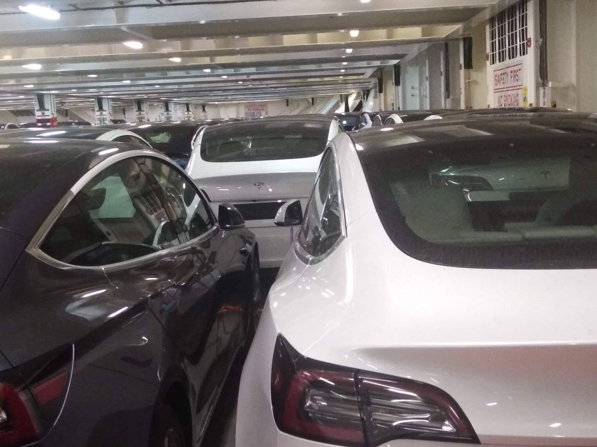 Mayer's tweet image. Estos Teslas estan actualmente pasando por el canal de Panama en un buque.

Como quisiera ver el Gobierno apoyar la idea de traer a Tesla a Panama. Ni el Like ni el RT le han dado a esta causa.