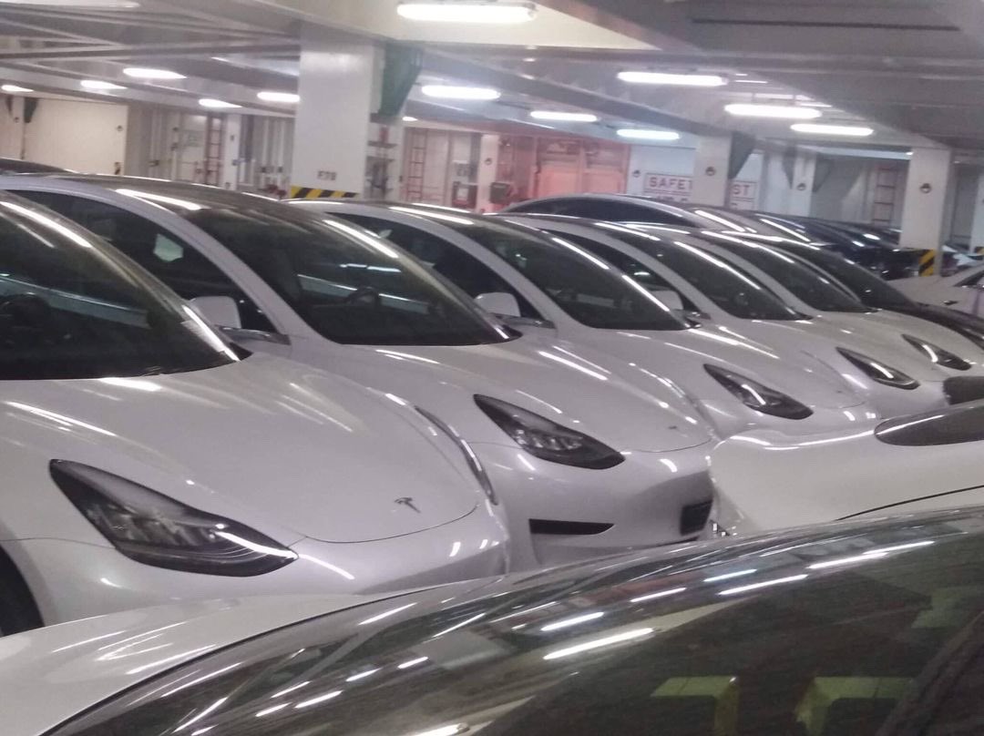 Mayer's tweet image. Estos Teslas estan actualmente pasando por el canal de Panama en un buque.

Como quisiera ver el Gobierno apoyar la idea de traer a Tesla a Panama. Ni el Like ni el RT le han dado a esta causa.