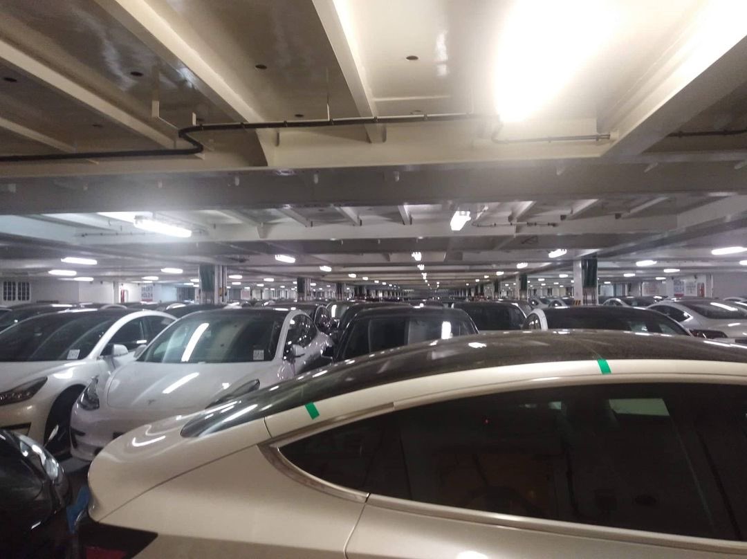 Mayer's tweet image. Estos Teslas estan actualmente pasando por el canal de Panama en un buque.

Como quisiera ver el Gobierno apoyar la idea de traer a Tesla a Panama. Ni el Like ni el RT le han dado a esta causa.