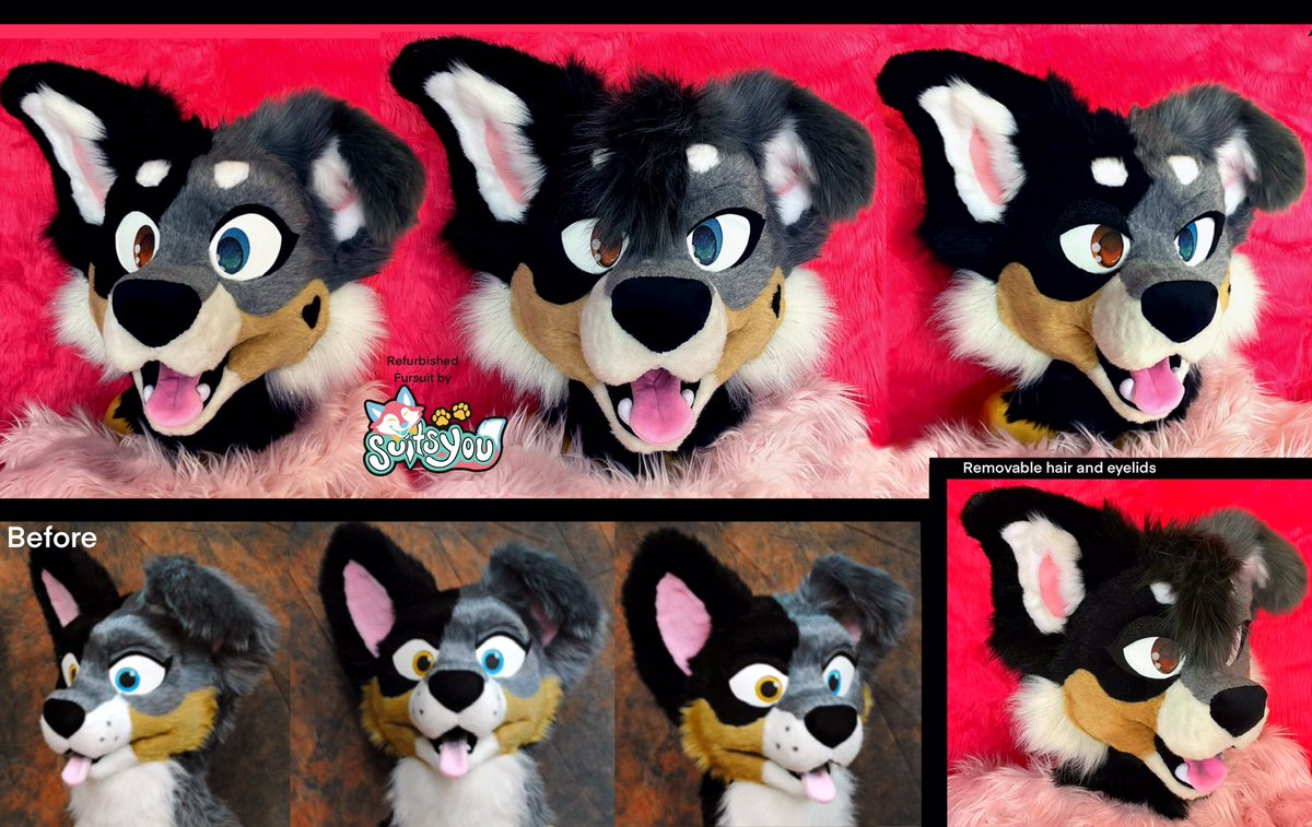 thissuitsyou's tweet photo. Considering the concerning events in our community. We want to point out that if you are looking to distance yourself from a certain maker we are happy to offer refurb projects. Send us a DM with photos of the fursuit. Refurbished fursuits start at $800 https://t.co/Rbe76lF7jR