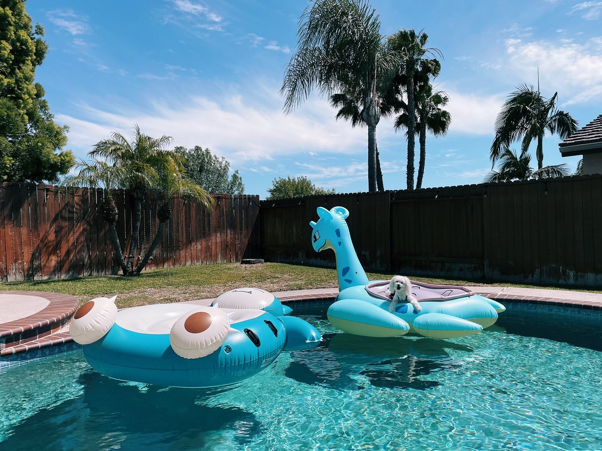 seeson's tweet photo. It’s a #PokemonPoolParty! https://t.co/lAz79mFYXz