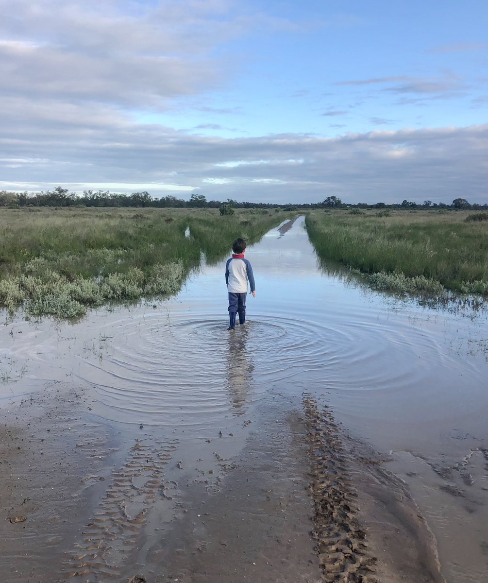 Richie Steele - Outback MPM (@outbackmpm) on Twitter photo 85mm and wet! 🌊 85mm and wet! 🌊