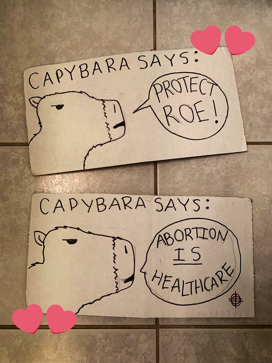 capywrdoftheday's tweet photo. day 64: pro roe! // #Capybara #capybarawordoftheday #BansOffOurBodies https://t.co/qWT6kOlssy