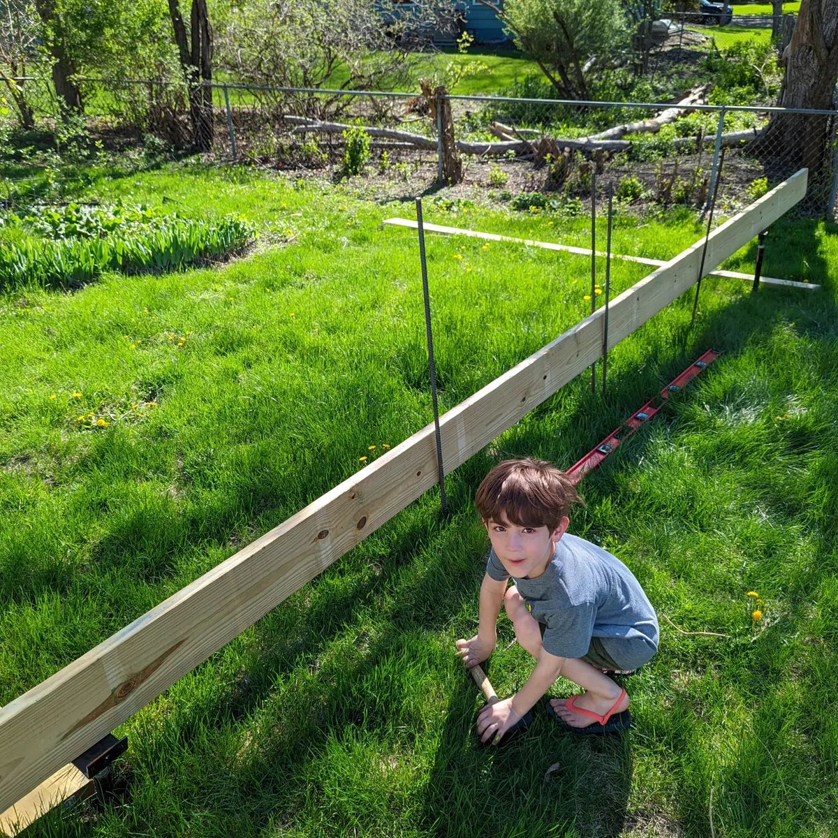 looksgoodtous's tweet photo. It's happening! The #LGTUGardenRoom is starting in earnest. Today I set the rebar for the other 3 piles I need to put in on the north side. Had a helper.

I should make my order of lumber this week. The plan is to record most of the build and publish as a YT series. I also plan t https://t.co/QpNuPI3caj