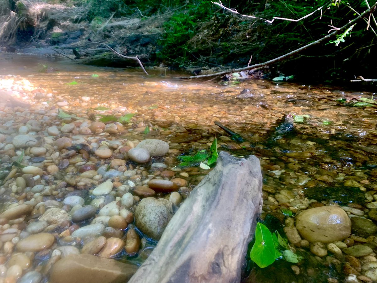 Wckd_Stang's tweet photo. Love having warm weather for being outdoors 🥰 https://t.co/1Z6uASlo4O