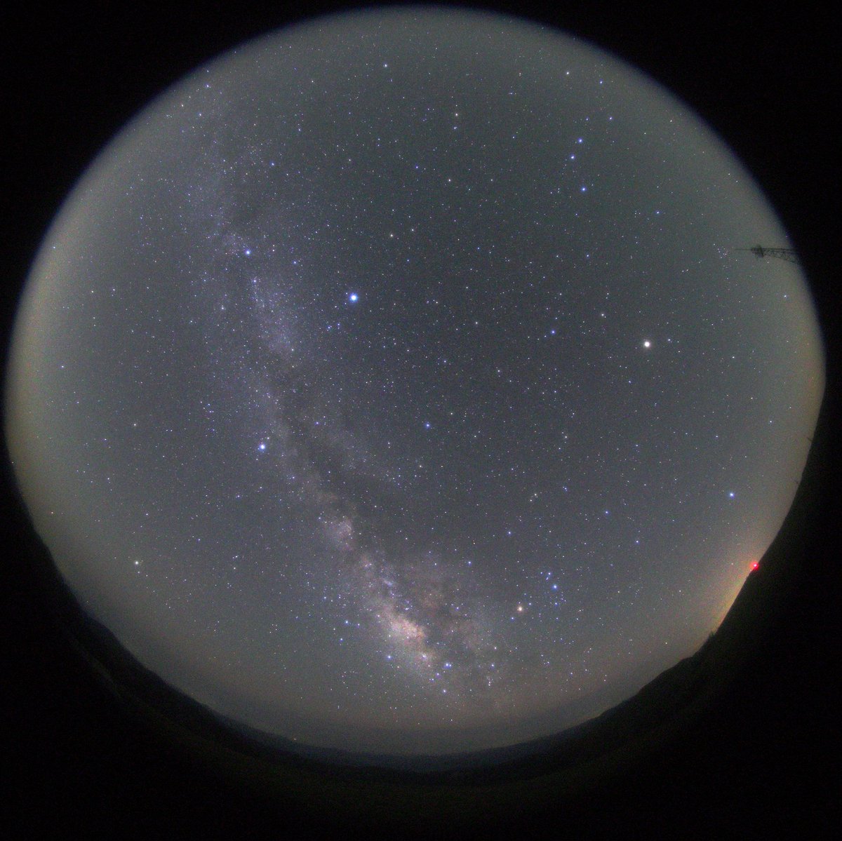 いぶ@インテリスタ⭐⭐ tweet media