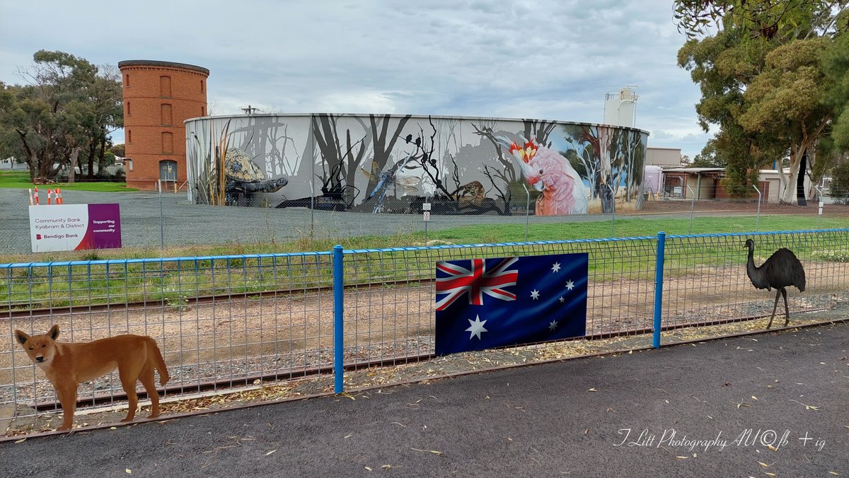 TonyL_Tchum's tweet photo. Visiting Kyabram tank murals yesterday. The viewing area has been upgraded since I was last here.
#kyabram #kyabramtankmurals #jimmy_dvate https://t.co/i2sYFLsHsz