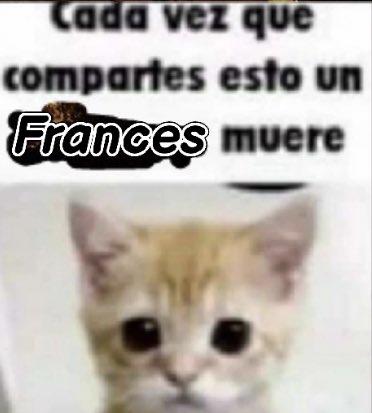 carlywtff's tweet photo. Francia penúltimo… https://t.co/H5ymJXMbcm