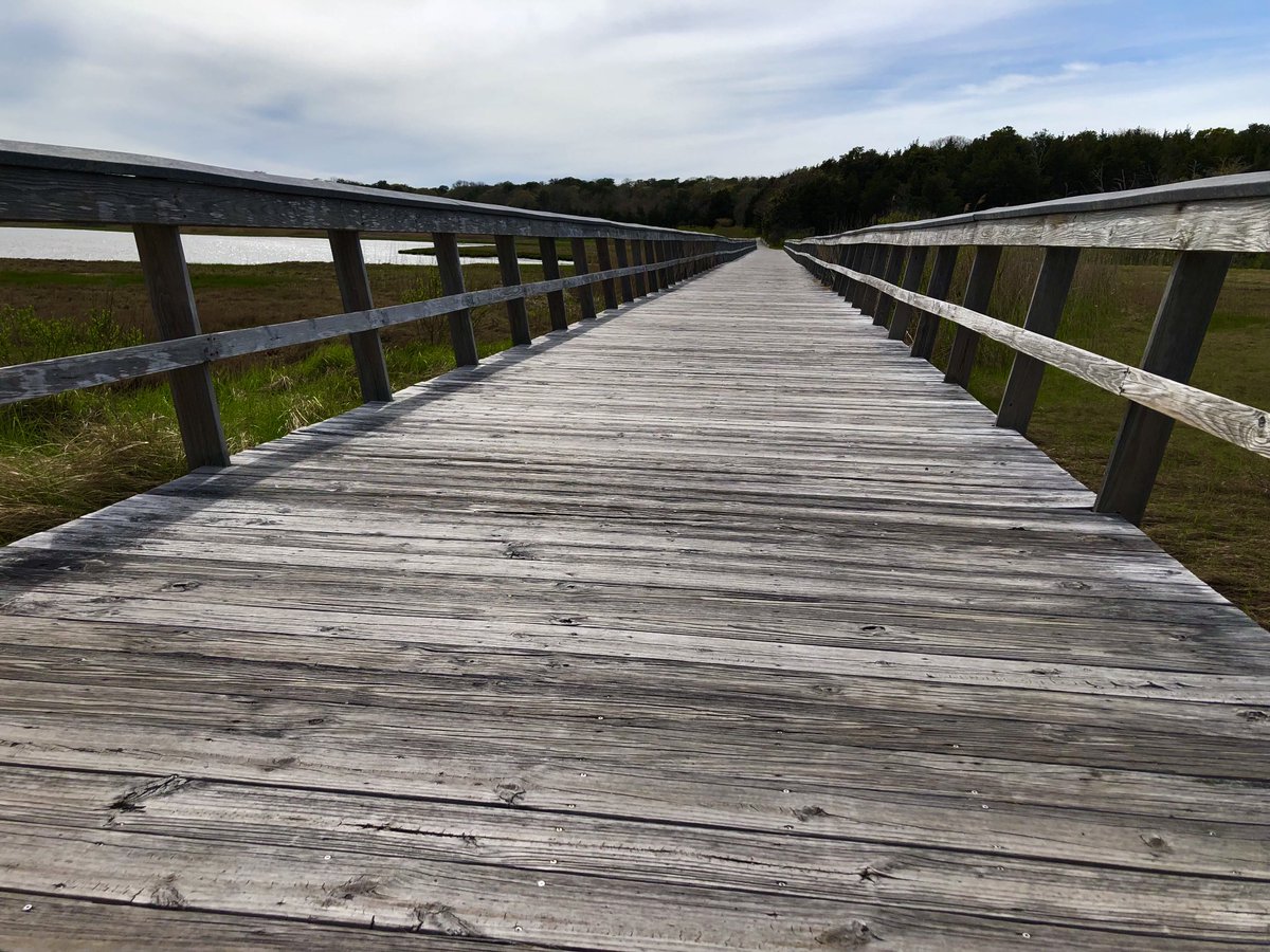 petermarteka's tweet image. Coast Guard bike bridge. #MayPatternChallenge