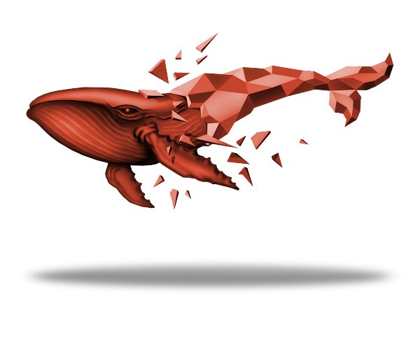 NFT Giveaways Daily tweet media