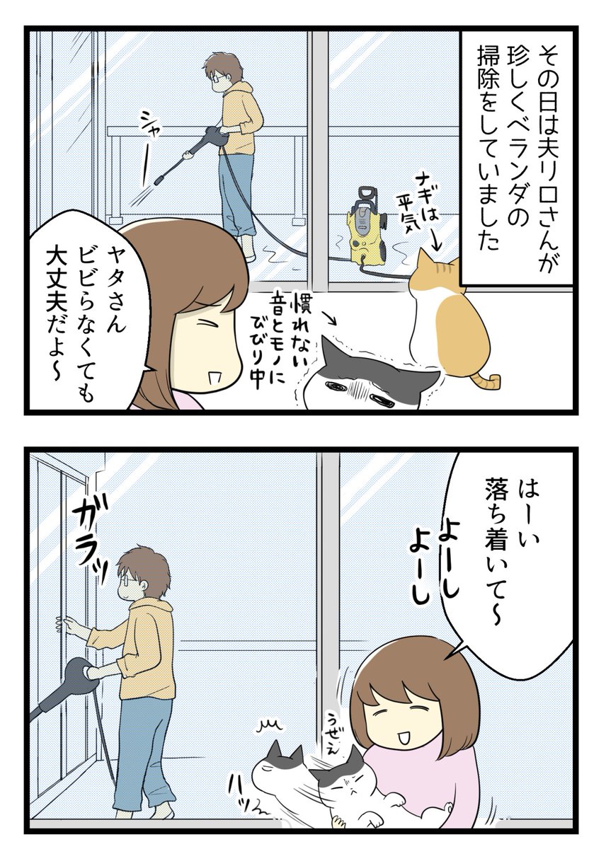猫のかわいさについ忘れがちだったけど思い出したよって話(1/2)

#コルクラボマンガ専科 #コミックエッセイ #漫画が読めるハッシュタグ 