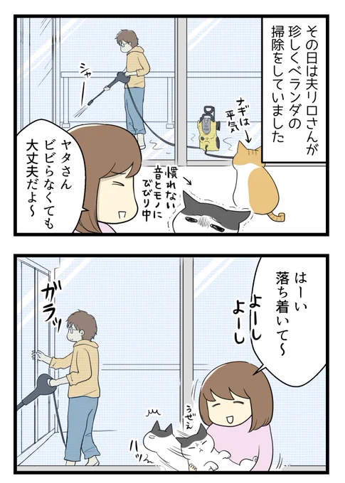 猫のかわいさについ忘れがちだったけど思い出したよって話(1/2)

#コルクラボマンガ専科 #コミックエッセイ #漫画が読めるハッシュタグ 