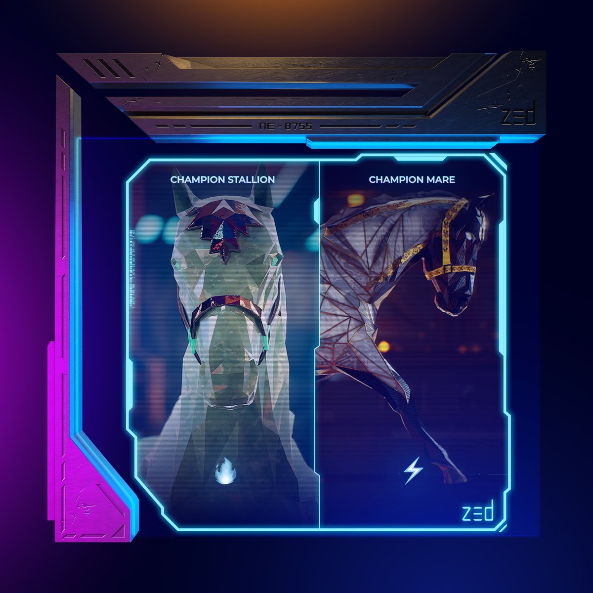 ZED CHAMPIONS tweet media