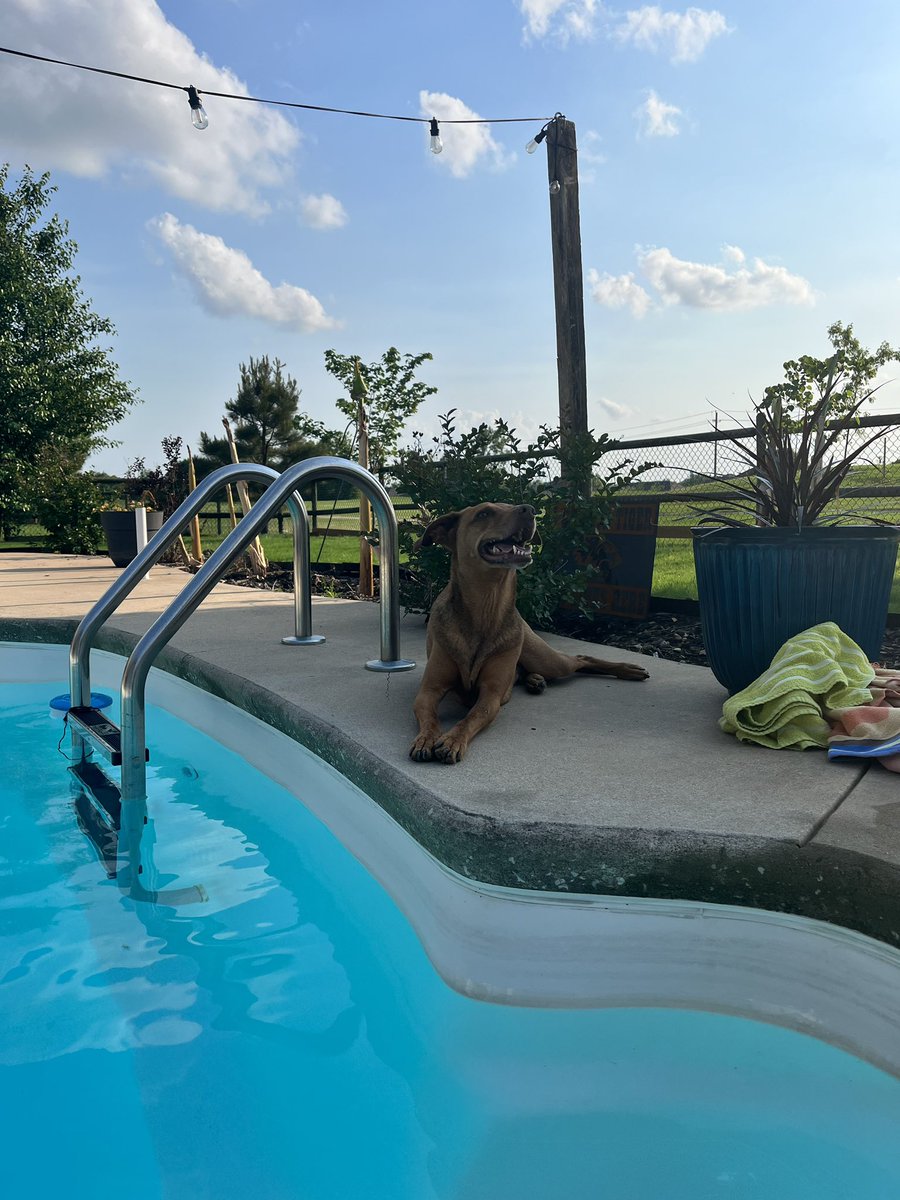 Gary Ellis tweet media