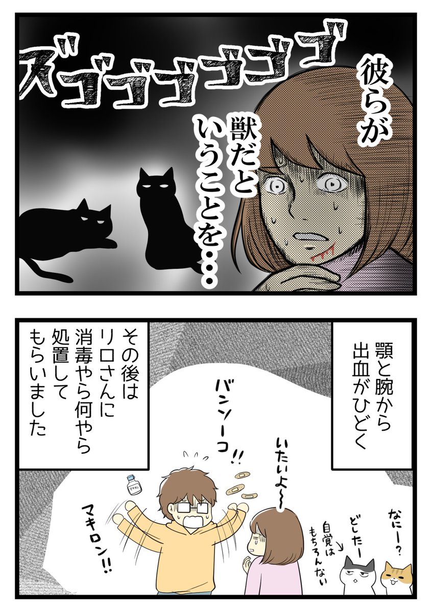 猫のかわいさについ忘れがちだったけど思い出したよって話(2/E) 
