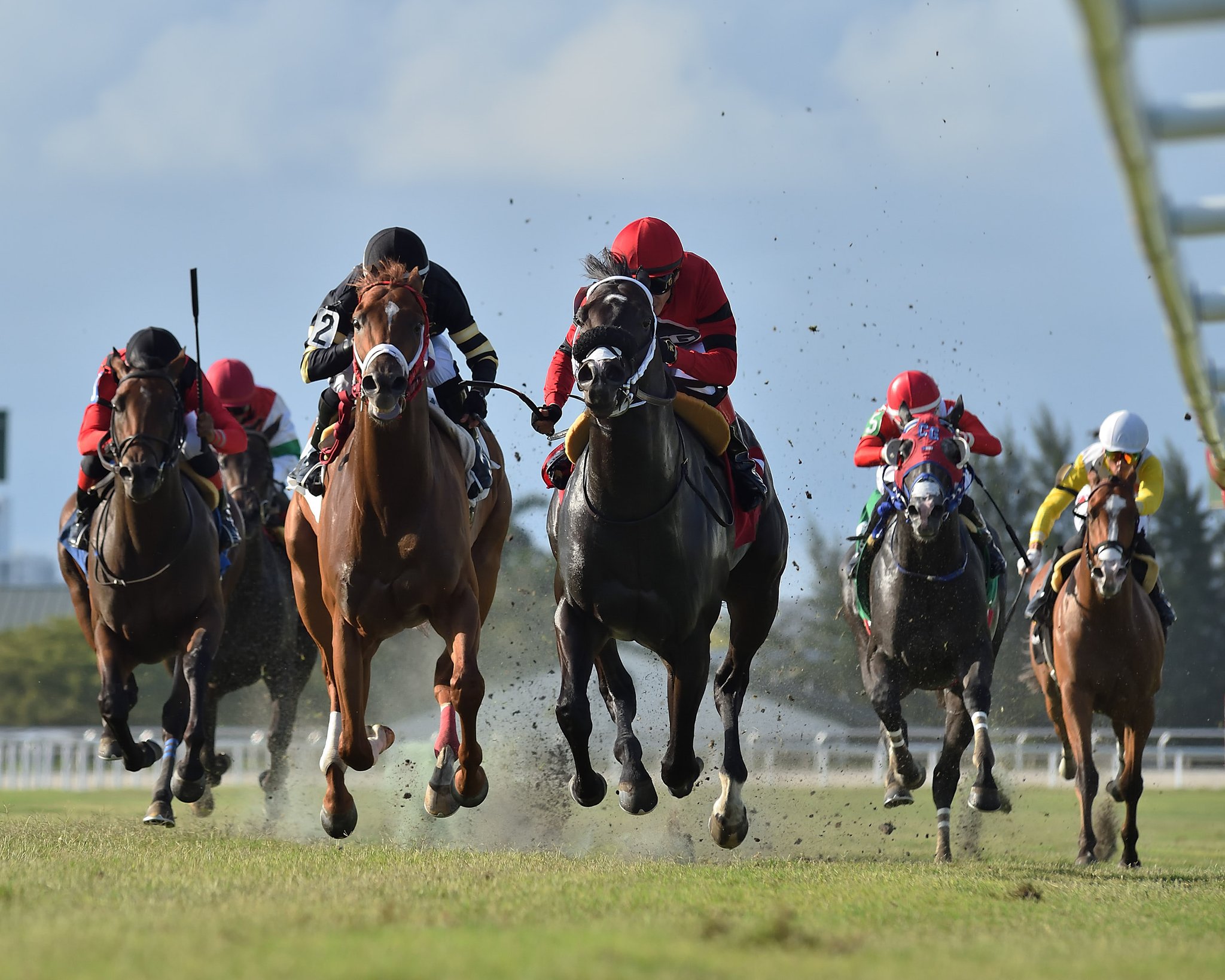 Gulfstream Park Scratches Today - 6lwg0gq
