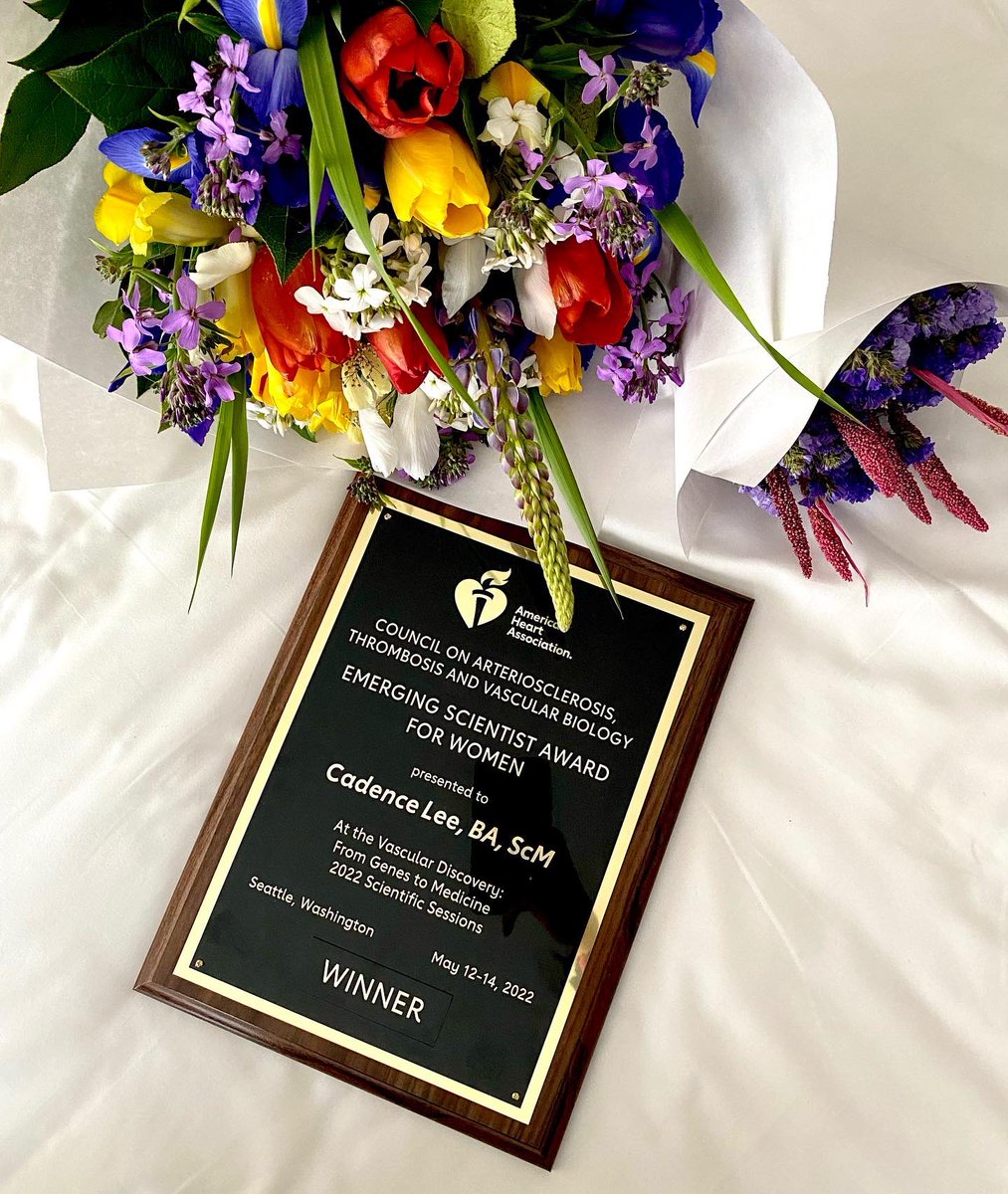 TheCadenceLee's tweet photo. Incredibly honored and grateful to have been chosen as the winner of the @atvbwlc Emerging Scientist Award for Women. Thanks to everyone in the @AlanRMorrison lab and to @aikawa_elena for the generous opportunity. @AHAScience @AHA_Research #VascularDiscovery22 https://t.co/uLlnwAlbMa