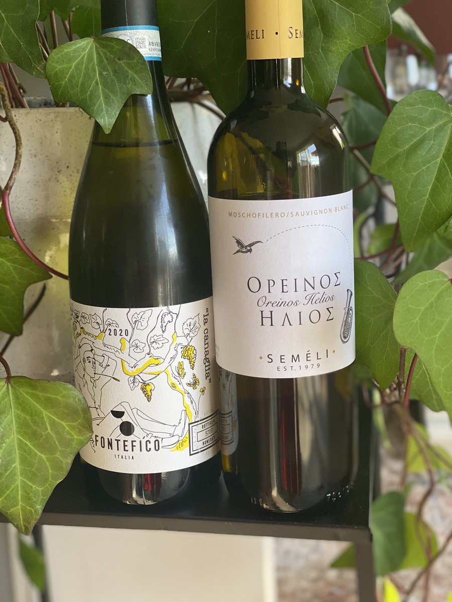 dpen_cc's tweet photo. 32C =>  bianco #semeli #oreinnoshelios #moschofilero #fontefico #lacanaglia #pecorino #abruzzo @Ahachey101 @Fontefico https://t.co/qpIOvX5SXJ