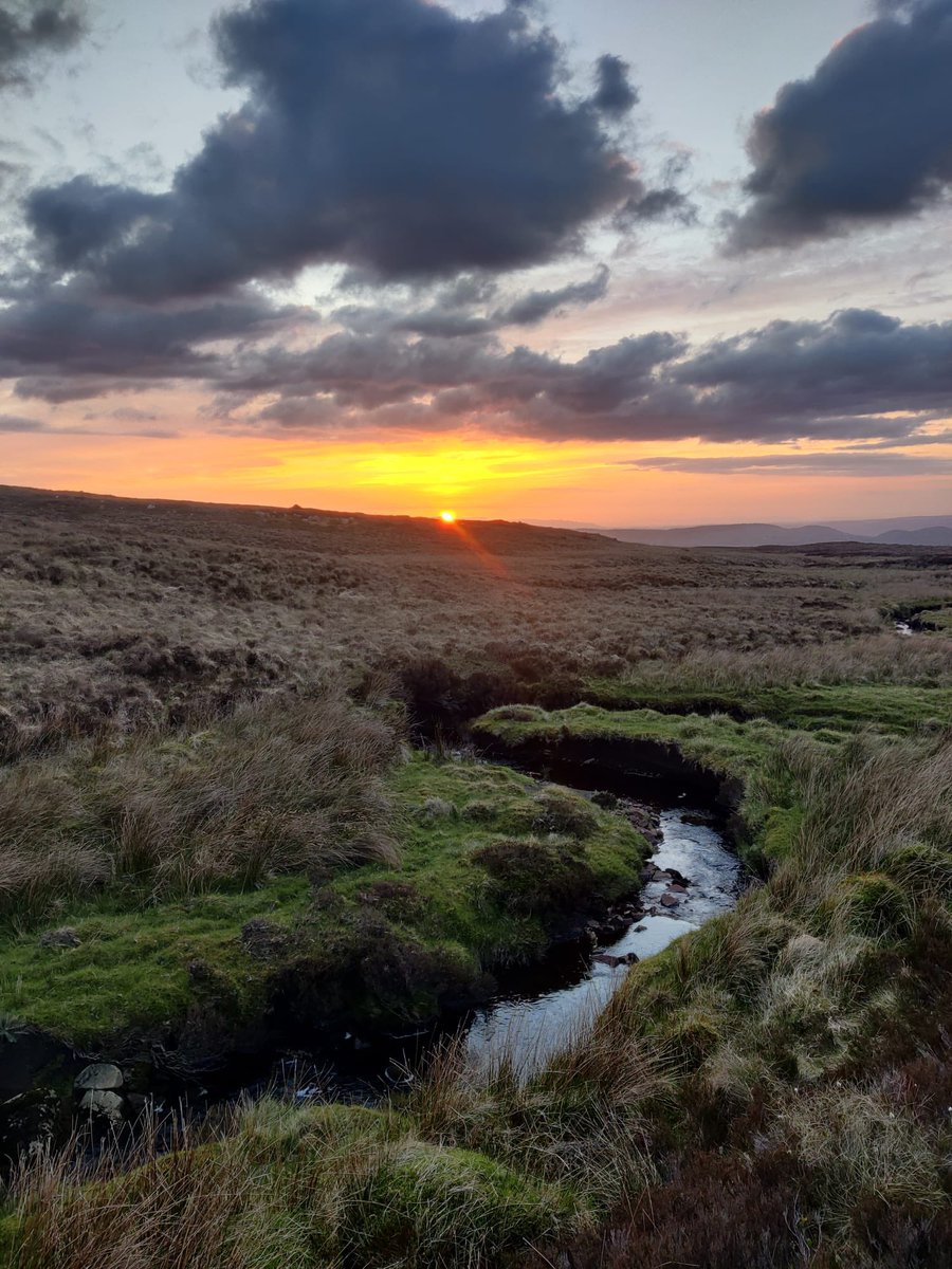 eagle_trust's tweet photo. Wow. What an evening for snipe and grouse surveys on #cuilcaghmountain #beautifulireland #ecologistlife @theCANNproject https://t.co/skJAK5gWWy