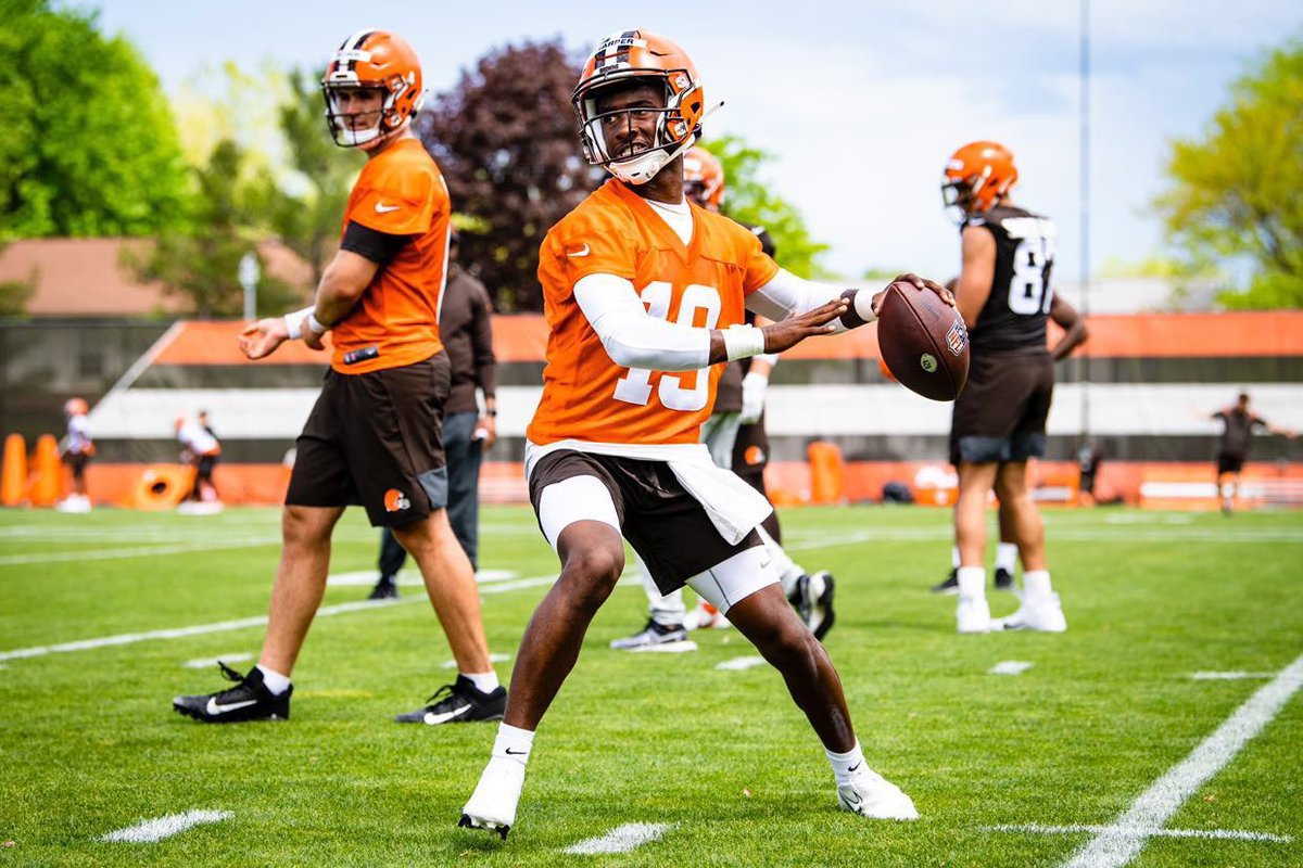 Felix Harper🌹 tweet media