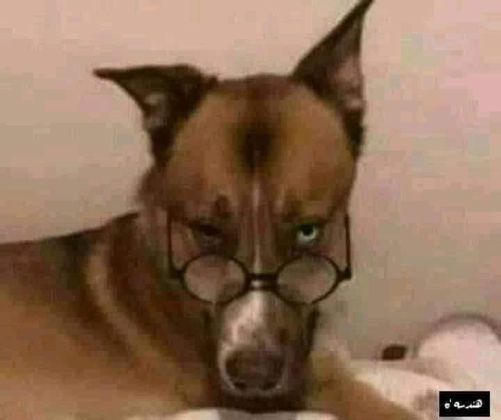 Le regard d’un ‘’harki tchadien’’ qui se croit plus intelligent, plus raffiné, cultivé et républicain que le reste des tchadiens !